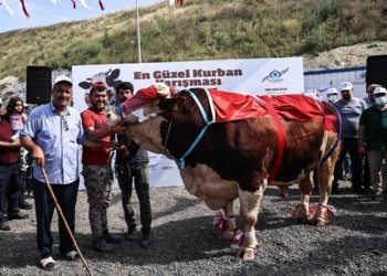 جوانترین و مه‌زنترین گایێ قوربانیێ ل ئیسته‌نبولێ بوو