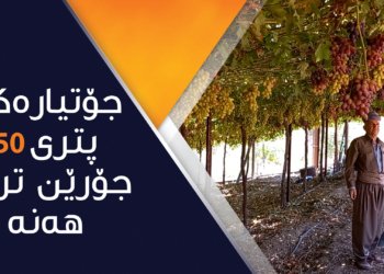 خۆکارانە ڕۆنووس کردن