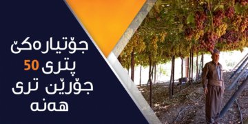 خۆکارانە ڕۆنووس کردن