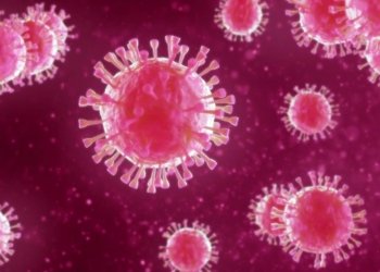 وه‌زاره‌تا ساخله‌مییا هه‌رێمێ ئامارێن نوو یێن كۆرۆنایێ راگه‌هاندن