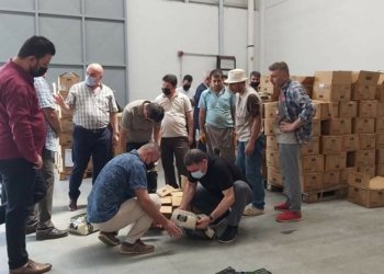 نێزیكى 6 ته‌نێن برنجێ ب سه‌رڤه‌چووی هاته‌گرتن