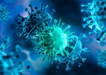 وه‌زاره‌تا ساخله‌میێ ئامارێن نوو یێن كۆرۆنایێ راگه‌هاندن