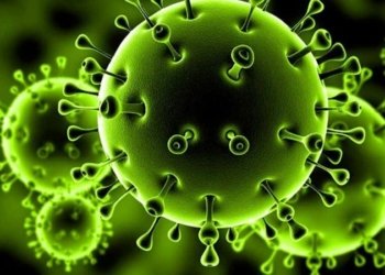 وه‌زاره‌تا ساخله‌میێ ئامارێن نوو یێن كۆرۆنایێ راگه‌هاندن