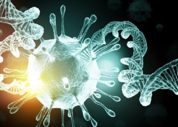 وه‌زاره‌تا ساخله‌میێ ئامارێن نوو یێن كۆرۆنایێ راگه‌هاندن