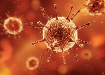 وه‌زاره‌تا ساخله‌میێ ئاماریێن نوو یێن كۆرۆنایێ راگه‌هاندن