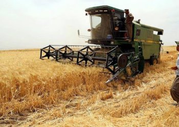 زێده‌تر ژ 2 ملیۆن ته‌نێن گه‌نمى ل ئیراقێ كێمبوویه‌