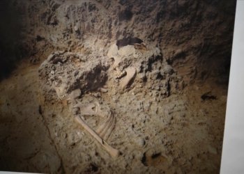 شوونواره‌كێ 4000 سالان پێش زایینی ل هه‌ولێرێ هاته‌ دیتن