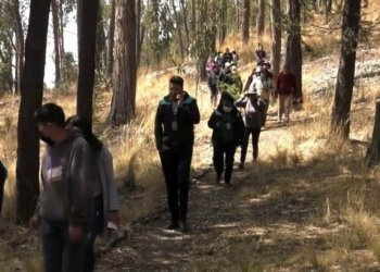 تووشبوویێن کۆرۆنایێ ل ئەمریکا لاتینی بۆ پاقژبوونا سیهێن وان دبه‌نه‌ دارستانان