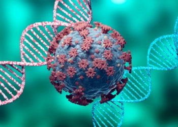 وه‌زاره‌تا ساخله‌میێ ئامارێن نوو یێن كۆرۆنایێ راگه‌هاندن