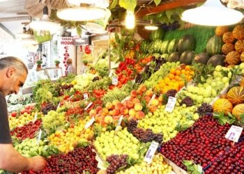 توركیا: ئه‌لمانیا، ئه‌مریكا و ئیراق باشترین بكرێن فێقیێ توركینه‌