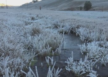 ل پارێزگه‌هه‌كا كوردستانێ پلێن گه‌رمێ هه‌شت پلا ل ژێر سفرێ داكه‌فت