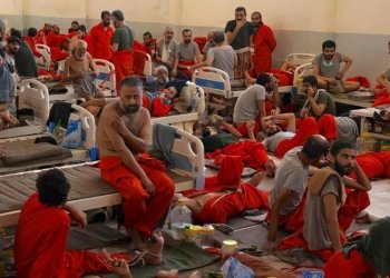 هه‌ڤپه‌یمانان 15 سه‌ركرده‌یێن داعش ژ رۆژئاڤایێ كوردستانێ برنه‌ ژ ده‌رڤه‌