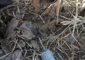 ته‌رمێ زارۆكه‌كى هاتیه‌ دیتن