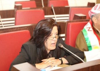 یاسایا هه‌لگرتنا چه‌كى دێ هێته‌ راستڤه‌كرن