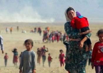 2 هزار و 719 کوردێن ئێزدى یێن ره‌ڤاندى هه‌تا نوكه‌ نه‌هاتینه‌ رزگاركرن