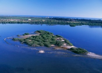 مانوره‌كا له‌شكه‌ری ناكوكیان دناڤبه‌را رووسیا ویابانێ دا دروست دكه‌ت