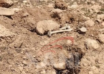 شنگال.. گۆرەکا دی یا بکۆم هاتە دیتن