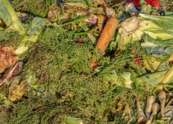 سالانه‌ ل سه‌رانسه‌رى جیهانێ 931 ملیۆن ته‌نێن خوارنێ دهێنه‌ هاڤێتن