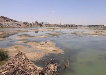 نێزیكی ‌70% ژ ئه‌ردێ چاندنێ ل عیراقێ تێكچوویه‌