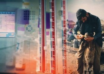 هه‌تا نوكه‌ 60 كه‌س ل عیراقێ تووشی تایا خوینبه‌ربوونێ بووینه‌