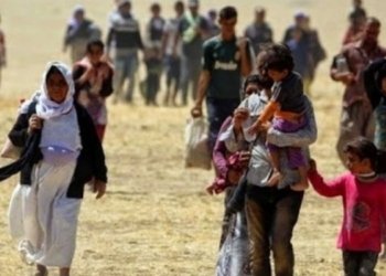 پتر ژ هزار خێزانێن شنگالێ دووباره‌ ئاواره‌ى پارێزگه‌ها دهۆكێ بوون