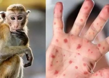 9 كه‌س ب خوریكا مه‌یمینكا مرن