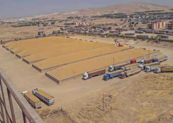 دهۆك دێ پشكا خوه‌ ژ گه‌نمێ عیراقێ وه‌رگریت.