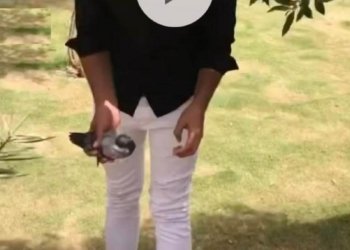 قوتابیه‌ك ژبه‌ر كوتره‌كێ ژ زانكویێ هاته‌ ده‌رئێخستن