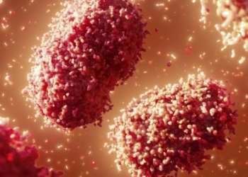 ئێكه‌م حاله‌تێ نه‌خۆشییا خۆریانا مه‌یمینكان ل ئیمارات هاته‌ تۆماركرن