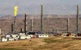 جارەکادی ب مۆشه‌كان ھێرش كره‌ سەر کێلگەھا کۆرمۆر