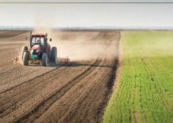 39 هزار كه‌س ل هەرێما کوردستانێ جوتیارن