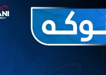 DAAD هژمارەکا دەلیڤەیێن خواندنا دکتۆرایێ ل ئەلمانیا رادگەهینیت