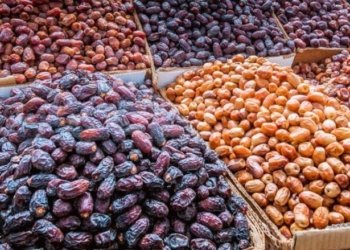 د پیشەسازییا خورمێ دا ب كوژمێ 7 ترلیۆن دیناران زیان گه‌هشتییه‌ ئابوورێ عیراقێ