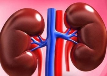 ل بەغدا بابه‌ك ب تۆمه‌تا فرۆشتنا گولچیسكا کچا خۆ هاته‌ گرتن