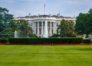 كۆچكا سپى رۆلێ پێشمه‌رگه‌یێ كوردستانێ بلند نرخاند