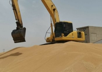 ده‌مێ وه‌رگرتنا گه‌نمێ جۆتياران هاته‌ درێژ كرن