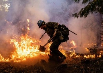 جاره‌كا دى ئاگر به‌ربوو دارستانه‌كا توركیا