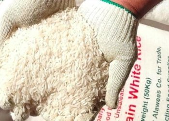 برنجێ تایله‌ندى گه‌هشت و دێ ب سه‌ر وه‌لاتییان دا هێته‌ به‌لاڤكرن