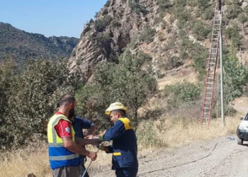 كاره‌با گوندێن سه‌ر ب ناحییا كانى ماسێ ڤه‌ هاته‌ چاره‌سه‌ركرن