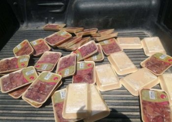 ده‌ست ب سه‌ر 100 كیلۆیێن مێلاكا مریشكێدا هاته‌ گرتن