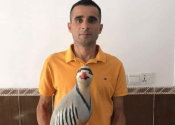 پێشمەرگەیەکێ شێلادزێ پەیکەرێ کەوی ب 600 هزار دیناران فروت