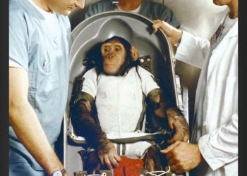 چین دێ هەژمارەكا مەیمینكان فرێكەتە بۆشاییا ئەسمانی