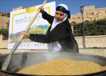 ڤیستەڤالا ناڤدەولەتی یا ساڤارێ ل مێردینێ هاتە ئەنجامدان