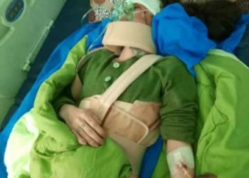 پشتى ئاهه‌نگا جه‌ژنێ ترۆمبێلا وان وه‌رگه‌رییا