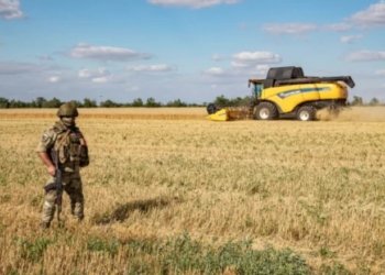رووسیا ب بهایێ ئێك ملیار دۆلاران گەنمێ ئوكرانیا درییە