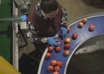 ل ئەمریکا تەکنەلۆژییه‌ك بۆ پاراستنا كه‌سكاتی و فێقی ژ تێکچوونێ دهێته‌ چێكرن