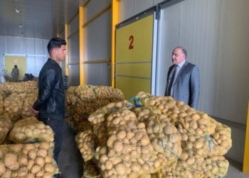 دهۆك.. 104 كوگه‌هێن هه‌لگرتنا به‌رهه‌مێ خۆمالى دێ هێنه‌ درووستكرن