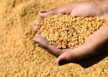 سوبه‌هی بریارا خه‌رجكرنا پارێ گه‌نمێ جۆتیارێن هه‌رێما كوردستانێ بۆ سالا 2015 ێ دێ ده‌ركه‌ڤیت