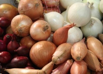 كیلۆیەكا پیڤازان ب هزار و 500 دینارانە