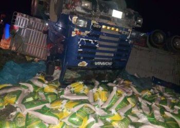 بارهەلگرەکا کەلوپەلێن خوارنێ وەرگەریا